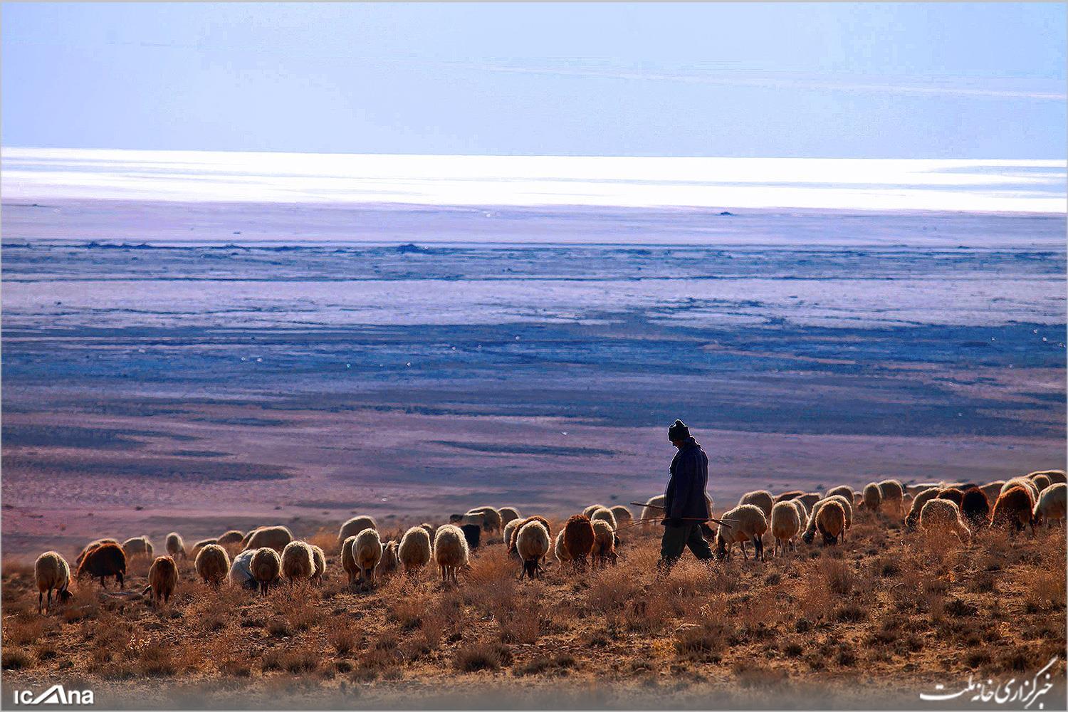 توسعه ۱۲۰ هزار هکتاری اراضی کشاورزی با بودجه احیای دریاچه ارومیه