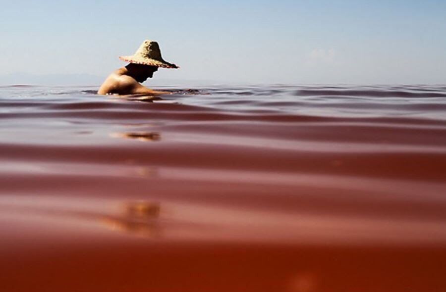 کمبود اکسیژن علت قرمز شدن آرتمیاهای دریاچه ارومیه است