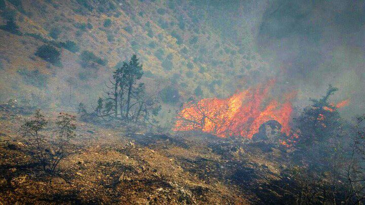 آتش فقدان پایگاه دایمی اطفای حریق بر جان جنگل های ارسباران
