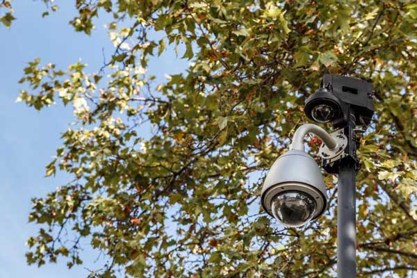 نصب دوربین‌های هوشمند در جنگل‌های ارسباران