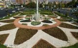 طراحی و پیاده‌سازی فرش گل زیبای پاییزی در میدان ائل گلی تبریز