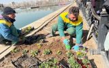 کاشت ۲۲۰ هزار نهال و گل در سطح منطقه یک در قالب طرح “استقبال از بهار”