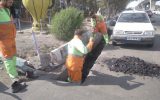 اجرای طرح خدمات رسانی و پاکسازی محله به محله در شهرداری منطقه ۶ تبریز