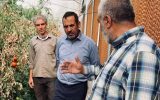 فتح زاده تاکید کرد: ضرورت توسعه کشت گلخانه‌ای در حریم دریاچه ارومیه