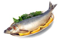 مصرف ماهی موجب افزایش قدرت باروری می شود