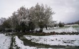 هوای آذربایجانشرقی در آخرین روز تابستان زمستانی شد هوای آذربایجانشرقی در آخرین روز تابستان زمستانی شد