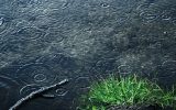 مرند رکورددار بیشترین بارش در آذربایجان شرقی
