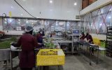 بررسی مشکلات ۱۰ واحد صنعتی آذربایجان شرقی در کارگروه ستاد تسهیل و رفع موانع تولید بررسی مشکلات ۱۰ واحد صنعتی آذربایجان شرقی در کارگروه ستاد تسهیل و رفع موانع تولید