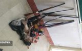 دستگیری هشت شکارچی غیرمجاز در چاراویماق