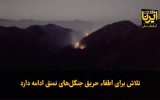 فیلم|تلاش‌ها برای اطفای حریق جنگل‌های «نمنق» ادامه دارد
