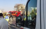 جان‌ باختن کارگر جوان در حین هرس درختان در تبریز