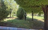 تداوم اجرای عملیات سم پاشی بهاره درختان حوزه شهرداری منطقه ۶ تبریز تداوم اجرای عملیات سم پاشی بهاره درختان حوزه شهرداری منطقه ۶ تبریز