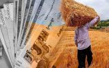 مدیر تعاون روستایی آذربایجانشرقی: مطالبات کشاورزان استان فردا تسویه میشود مدیر تعاون روستایی آذربایجانشرقی: مطالبات کشاورزان استان فردا تسویه میشود