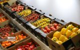 صادرات ۵۰ میلیون دلاری میوههای خوراکی و غلات از آذربایجانشرقی صادرات ۵۰ میلیون دلاری میوههای خوراکی و غلات از آذربایجانشرقی
