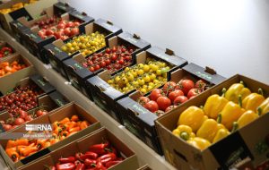 صادرات ۵۰ میلیون دلاری میوه‌های خوراکی و غلات از آذربایجان‌شرقی