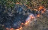 آتشسوزی در منطقه دیزمار؛ تلاش محیطبانان برای مهار حریق آتشسوزی در منطقه دیزمار؛ تلاش محیطبانان برای مهار حریق