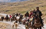 عشایر کلیبر و خداآفرین کوچ به مناطق قشلاقی را تسریع کنند